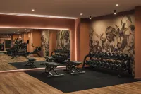 Hyatt Regency Vilamoura Algarve - Gym
