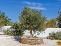 Thalassa Naxos Hotels near Agiassos Beach