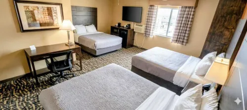 퀄리티 인 라마르