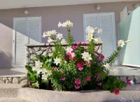 Ninfas del Mar - Homestays