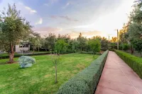 Villa Zahi Hotels in 