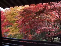 しょうげつ - カップル