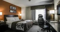 Sleep Inn Arlington Near Six Flags - Pet-friendly