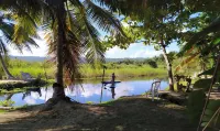 Method Living Tropical Edition 50024 - Mountain view