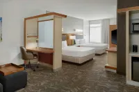 SpringHill Suites Detroit Metro Airport Romulus - Hot Tub