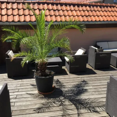 Hotel Arte Vida Ohg