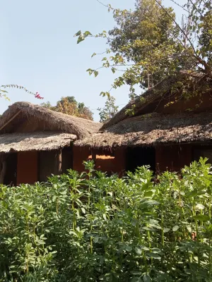 Bravo Agriculture Farm House - Villas