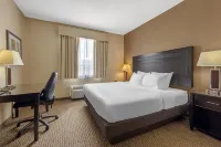 Best Western Plus Estevan Inn  Suites - parking