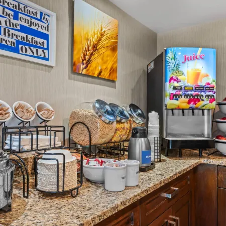 Comfort Inn & Suites Airport South