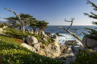 Home2 Suites by Hilton at the Dunes on Monterey Bay - parking