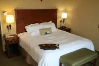 Hampton Inn & Suites Paducah - Haustierfreundliche