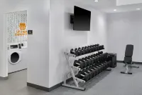 Home2 Suites by Hilton Frankenmuth - Gym