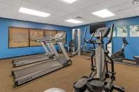 Comfort Inn Franklin Highway 96 - Gym