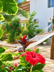 Sipano Beach Lodge Kiwengwa - Wifi