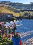 Quinta dos Piscos - Frühstück
