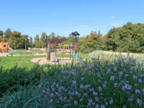 Holiday Vital Resort (Gbe111) Hotels in GroBenbrode