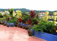 Eagle Nest Home Stay Hotels in Guwahati
