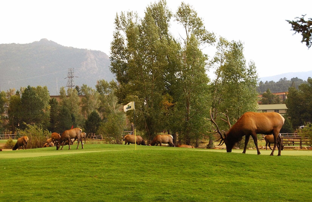 Coyote Mountain Lodge