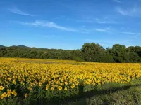 "la Casa Delle Bimbe" Hotels in Monteverdi Marittimo