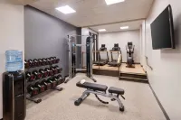 Embassy Suites by Hilton Tysons Corner - salle de sport