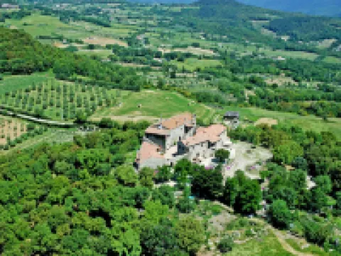 Mimosa - Borgo la Civitella