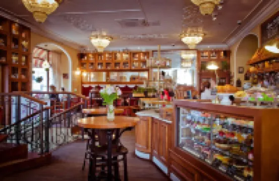 Best Western Plus Centre Hotel Hotels in Saint Petersburg