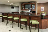 Hilton Garden Inn Austin North - bar
