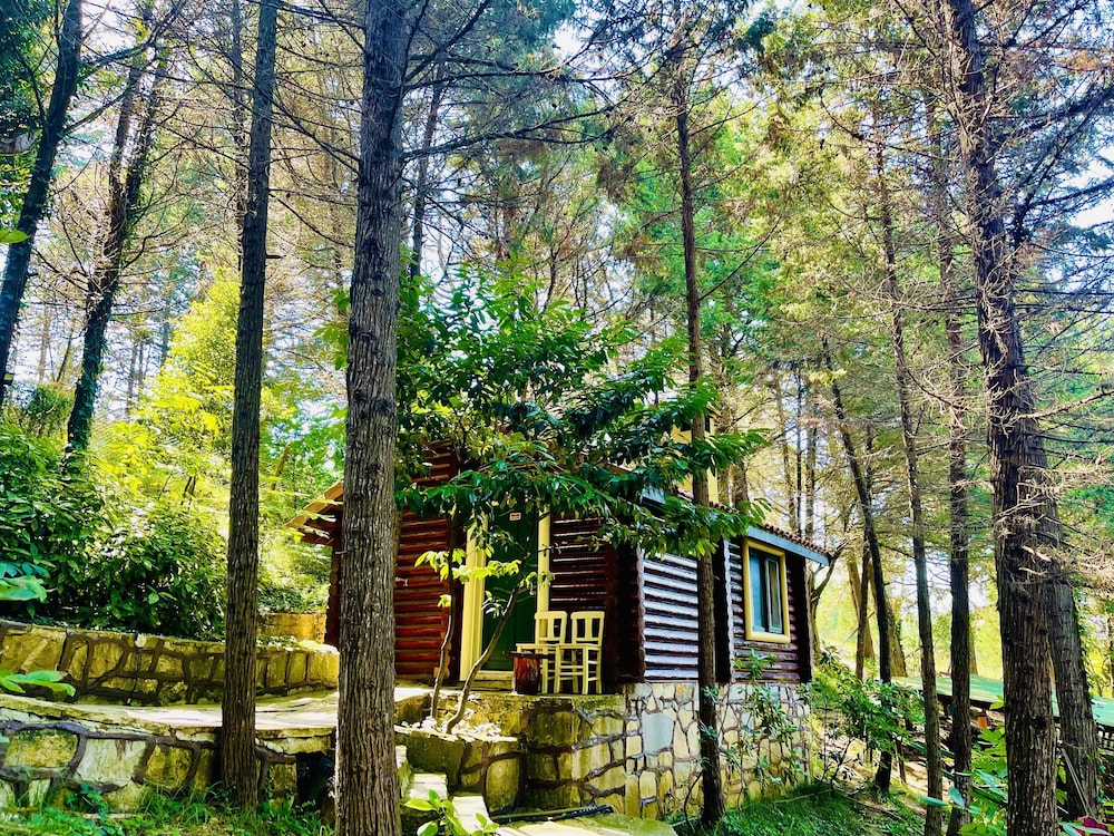 Ağva Orman Evleri Forest Lodge (Agva Orman Evleri Forest Lodge)