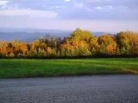 Cooper Hill Inn