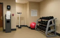 Holiday Inn Express & Suites WALTERBORO I-95 by IHG - Gym