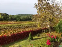 Am Weinberg