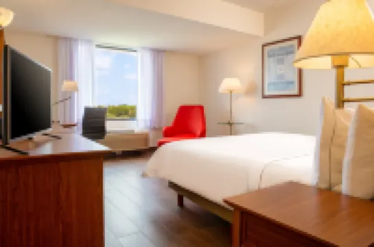 坦皮科嘉年華旅館