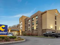 Comfort Inn & Suites Pittsburgh South Hotels near Station Square