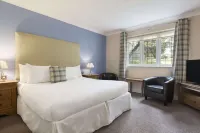 Cwrt Bleddyn Hotel Отели в г. 