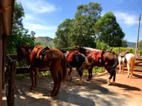 Akropolis Hotel Fazenda Hotels in Amparo