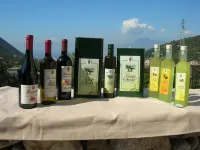 Agriturismo Casa Scola Hotels in Gragnano