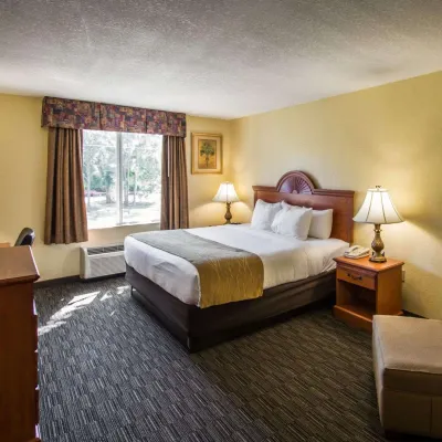 Comfort Inn & Suites Jupiter I-95 Hotels near Jupiter Beach Park