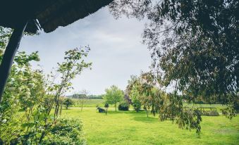 a lush green field with trees and a herd of cows grazing , creating a serene and picturesque scene at The Grange Hotel Brent Knoll