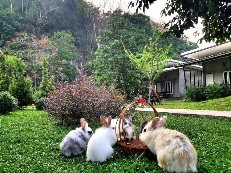 รูปภาพของวี แวลเลย์รีสอร์ต