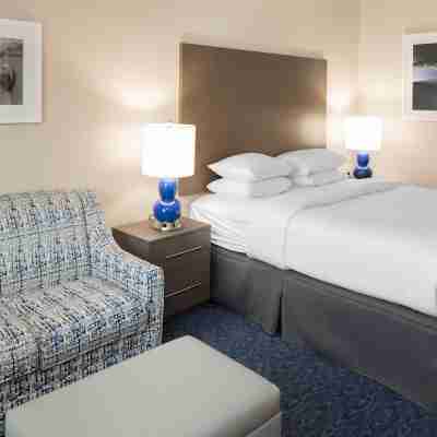 Hotel Renovo Rooms