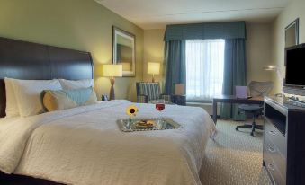 Hilton Garden Inn Houston-Pearland