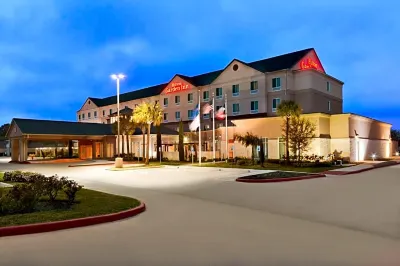 Hilton Garden Inn Houston/Clear Lake NASA Hotels in Webster