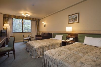 その他 高山わんわんパラダイスの写真