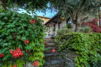 Fattorie di Celli - Villas