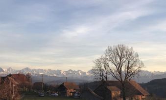 Alpenblick Ferenberg Bern
