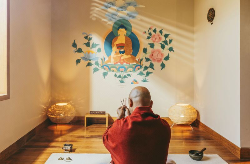 Six Senses Vana - A Wellness Retreat photo 5