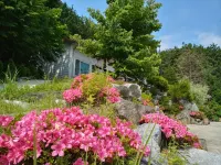 Jangseong Cypress Forest Pension 白羊寺附近的飯店