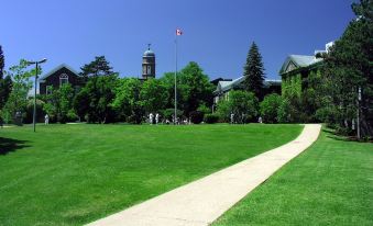 Dalhousie University