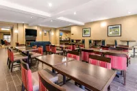 Comfort Inn & Suites IAH Bush Airport - East - Khách sạn giá rẻ
