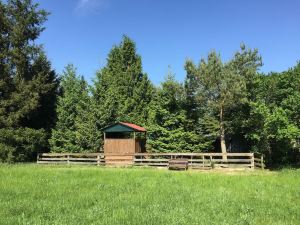 Ferienhaus Mirow-Lärz - Kamin Wald Ruhe